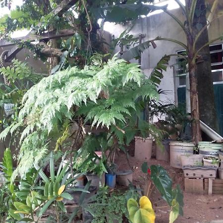 Hostel El Caleuche ริโอ ดัส ออสตรัส ภายนอก รูปภาพ