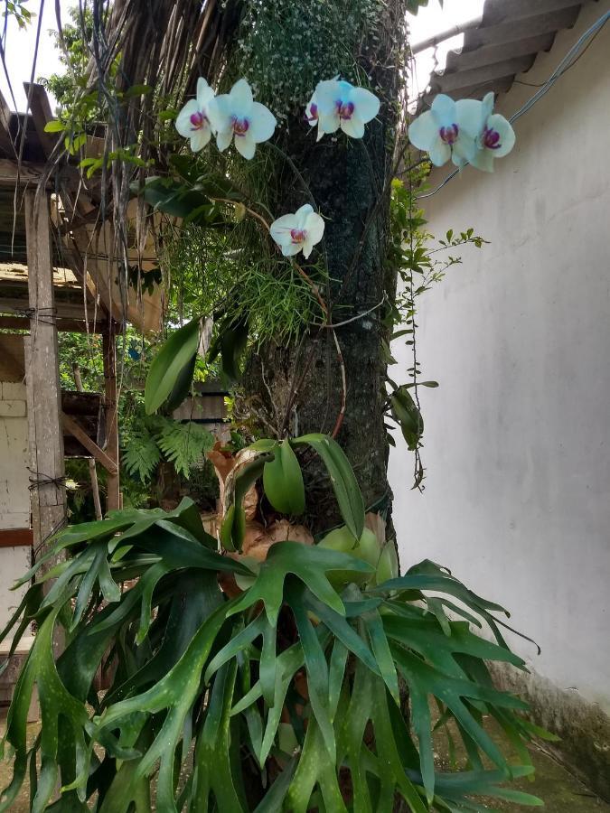 Hostel El Caleuche ริโอ ดัส ออสตรัส ภายนอก รูปภาพ